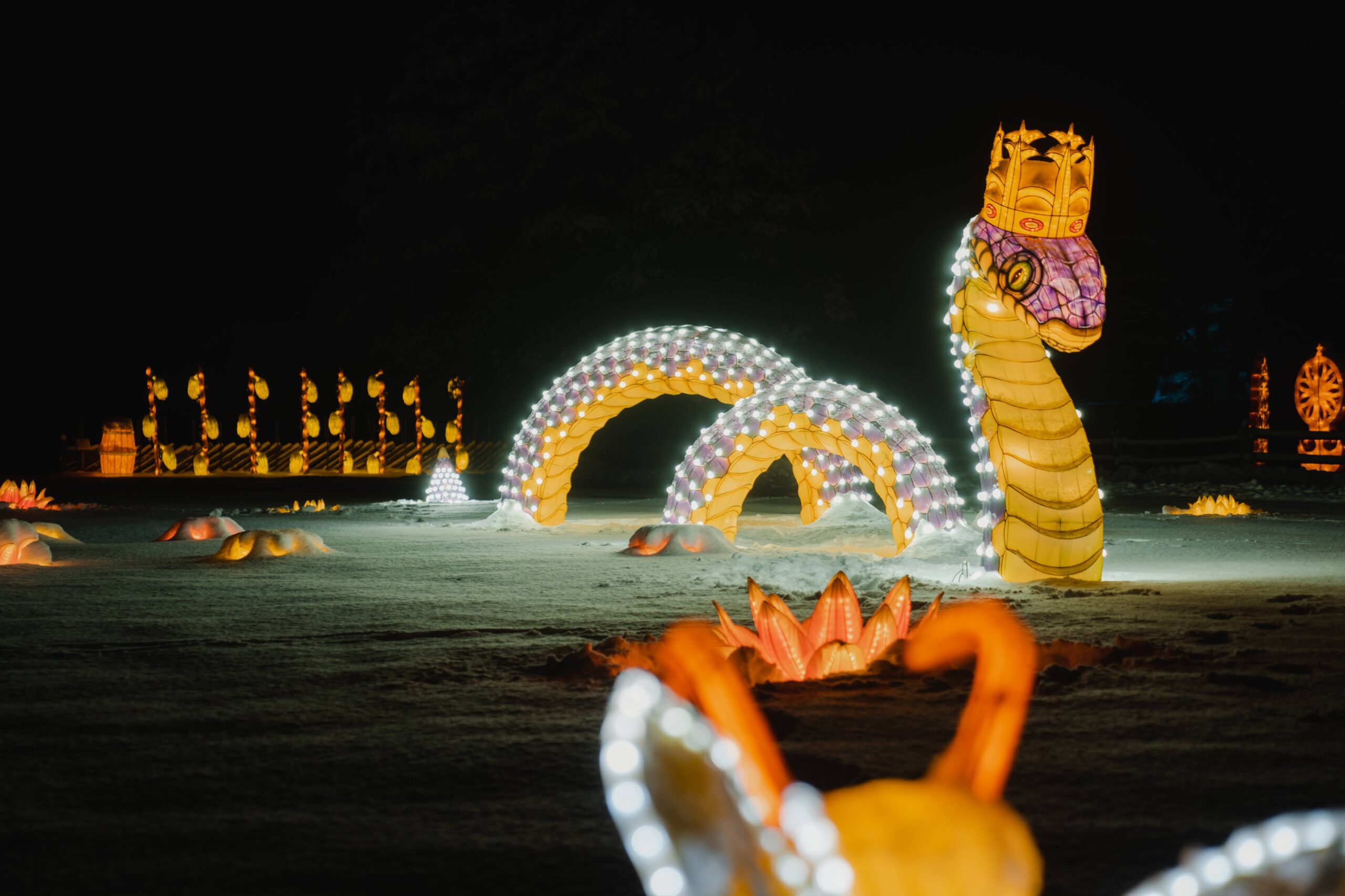 2022-12-13 18-28-20 author Mantas Repecka